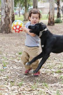 What To Do If Your Child Is Bitten By A Dog